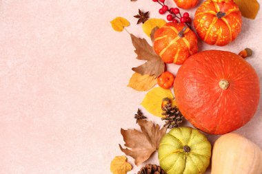 Olgun balkabaklarıyla, böğürtlenlerle, baharatlarla ve açık arkaplanda düşen yapraklarla sonbahar kompozisyonu