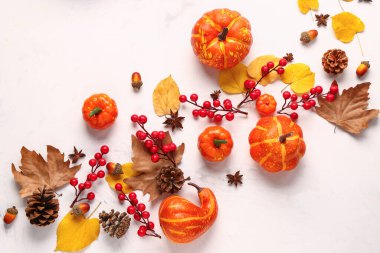 Olgun balkabakları, baharatlar, böğürtlenler ve açık arkaplanda düşen yapraklarla sonbahar kompozisyonu