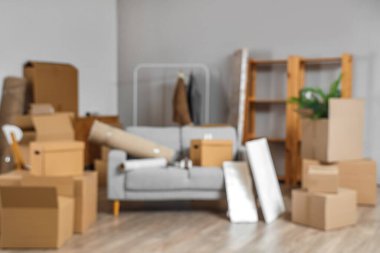 Taşındığı gün oturma odasında karton kutular olan kanepenin bulanık görüntüsü.