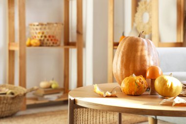 Balkabakları masadaki rahat oturma odasında, yakın plan.