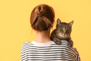 Turuncu arka planda sevimli tekir kedisi olan güzel genç bir kadın.