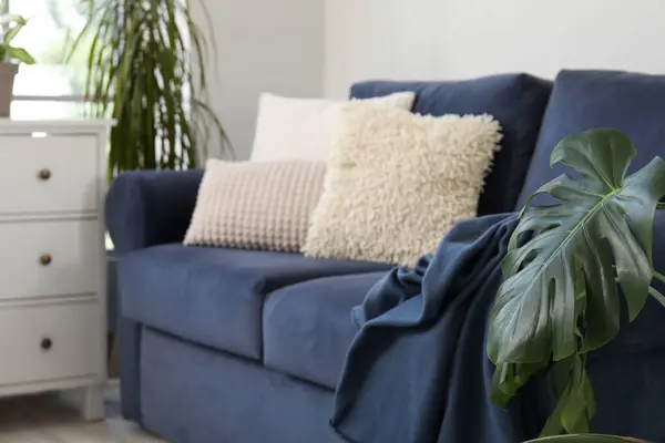 Innenraum Des Wohnzimmers Mit Gemütlichem Blauem Sofa Kommode Und Zimmerpflanzen — Stockfoto