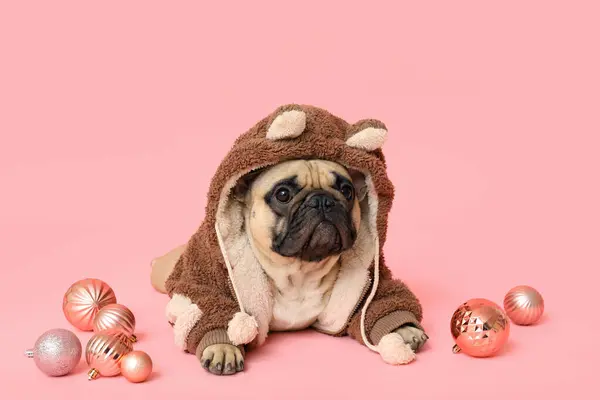 Cute pug dog in costume with Christmas balls lying on pink background