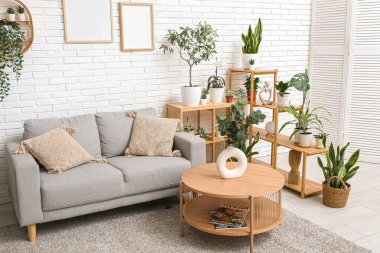 Gri kanepesi, sehpası ve farklı bitkileri olan modern oturma odasının içinde.