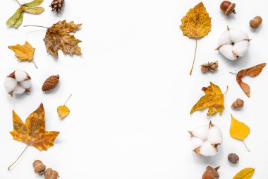 Beyaz zemin üzerinde meşe palamudu ve pamuk çiçekleriyle sonbahar yapraklarından yapılmış çerçeve