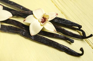 Sarı ahşap zemin üzerinde Aromatik vanilya çubukları ve çiçek