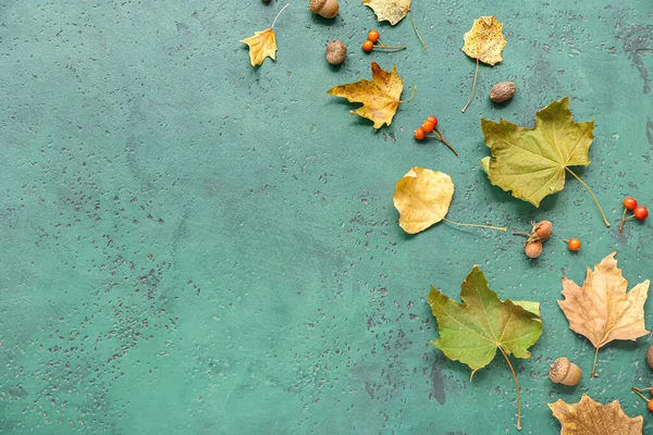 Sonbahar yaprakları meşe palamudu ve yeşil grunge arka planda viburnum üzümü