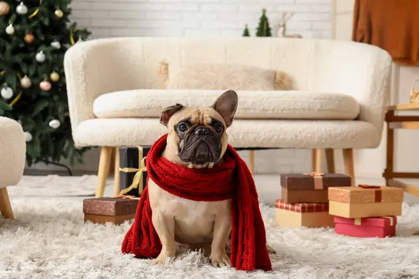 Χαριτωμένο Σκυλί Κασκόλ Και Δώρα Χριστουγέννων Στο Σπίτι — Φωτογραφία Αρχείου