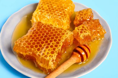 Tatlı bal peteği ve mavi arka planda deniz ayısı tabağı