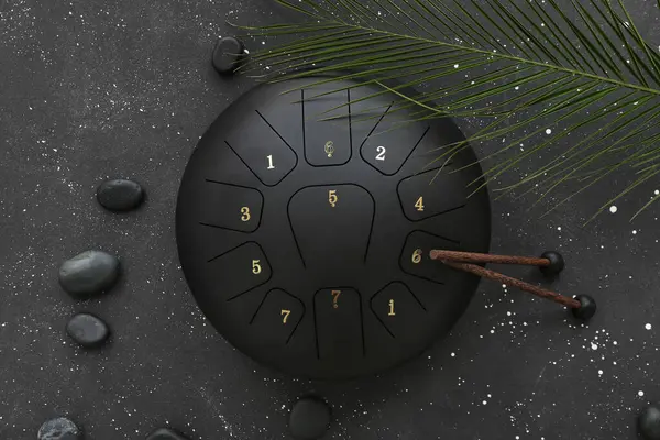 Çubuklu Glukofon Palmiye Yaprağı Grunge Siyah Arka Planda Spa Taşları — Stok fotoğraf