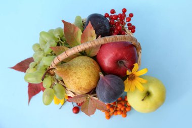 Mavi arka planda farklı taze meyvelerle dolu bir sepet.