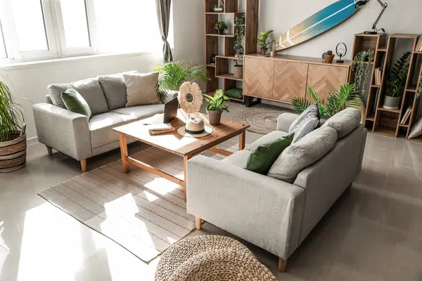 Interior of light living room with surfboard, houseplants and sofas