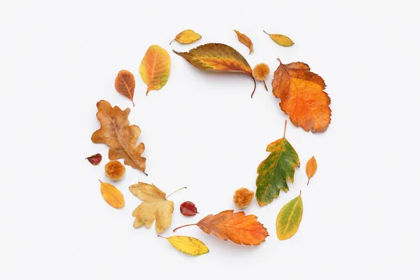 Circle made of autumn leaves on white background