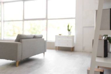 Gri kanepeli, aydınlık oturma odasını bulanık görüyorum.