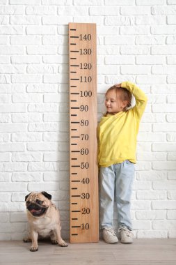 Evde boyunu ölçen sevimli köpekli küçük bir kız.