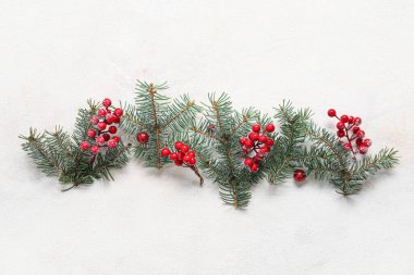 Noel kompozisyonu köknar dalları ve kırmızı böğürtlenli ışık arkaplanı