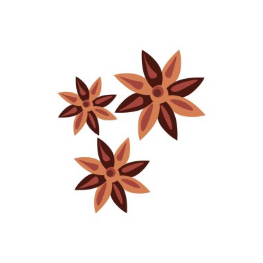 beyaz zemin üzerine tarçın yıldız