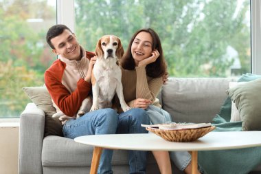 Evdeki kanepede oturan sevimli Beagle köpeği olan genç çift.