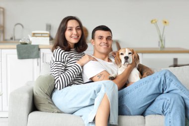 Evde sevimli Beagle köpeği olan genç bir çift.