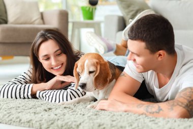 Evde halıda yatan sevimli Beagle köpeği olan genç çift.