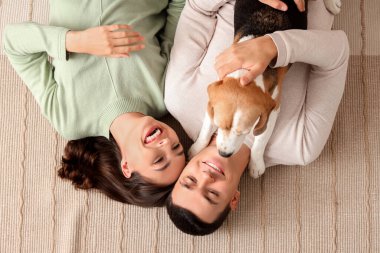 Evdeki halıya uzanmış sevimli Beagle köpeği olan genç bir çift.