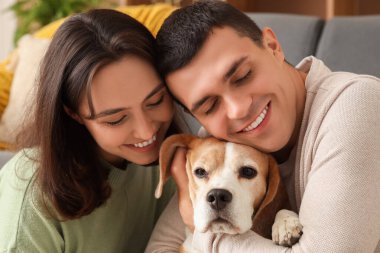 Evde sevimli Beagle köpeği olan genç çift, yakın plan.