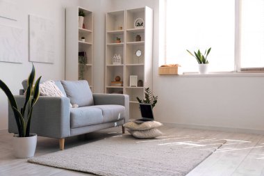 Interior of light living room with grey sofa, houseplants and shelving unit