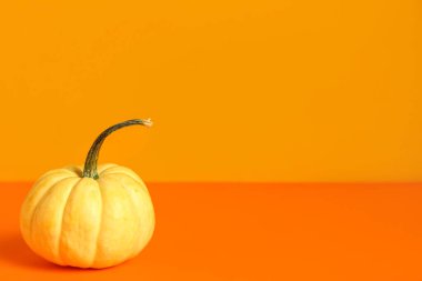 Turuncu zemin üzerine taze kabak