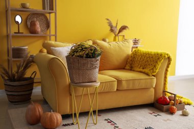 Kanepesi, çiçekleri ve balkabağı olan rahat bir oturma odası.