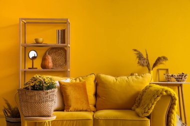 Kanepesi, çiçekleri ve balkabağı olan rahat bir oturma odası.