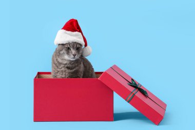 Noel Baba şapkalı şirin kedi mavi arka planda hediye kutusunda