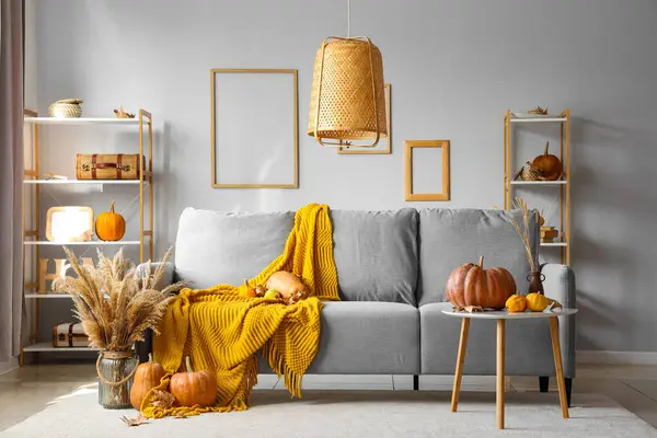 Autumn interior of living room with grey sofa, coffee table and pumpkins