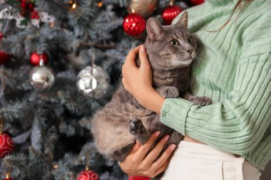 Evde, Noel ağacının yanında sevimli kedisi olan bir kadın var.