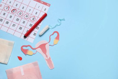 Kağıt rahim, adet takvimi ve arka planda kadın hijyen ürünleri içeren kompozisyon