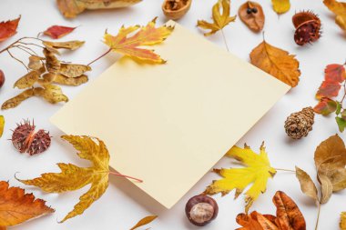 Beyaz arkaplanda boş kartıyla güzel sonbahar kompozisyonu