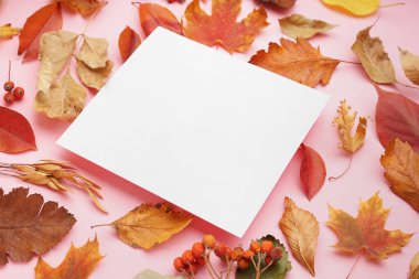 Sonbahar yaprakları viburum çilekleri ve pembe arka planda boş bir kart.