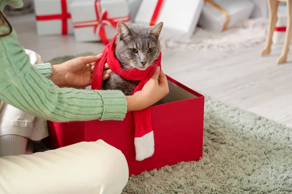 Woman with cute cat in gift box at home on Christmas eve, closeup