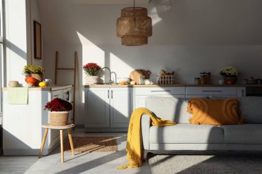 Mutfağın içinde tezgah, kanepe ve kasımpatı çiçekleri var.