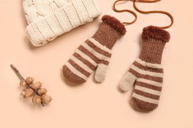 Sıcak şapkalı kış eldivenleri ve bej arka planda meşe palamudu.