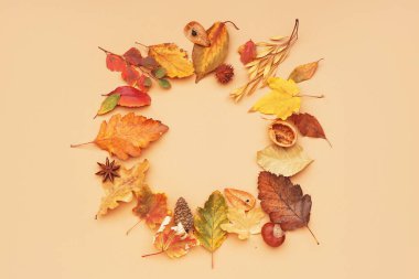 Sonbahar yapraklarından yapılmış çerçeve ve bej arka planda orman dekoru