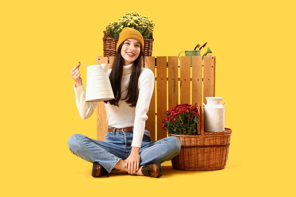 Junge Frau Mit Gießkanne Und Chrysanthemenblüten Auf Gelbem Hintergrund — Stockfoto