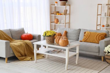 Kasımpatı çiçekleri, balkabakları ve kanepeleri olan oturma odasının içinde.