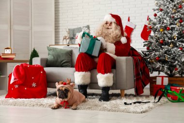 Evcil hayvan kıyafetleri giyen sevimli Fransız bulldog ve evde Noel hediyeli Noel Baba.