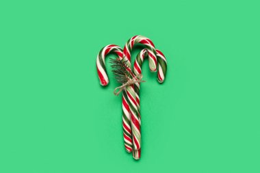 Yeşil arka planda köknar dalı olan Noel şekerleri.