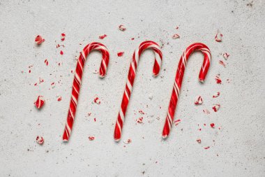 Beyaz arka plan üzerinde Noel candy köpekler