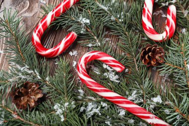 Noel şeker kamışları köknar dalları ve tahta arka planda çam kozalakları