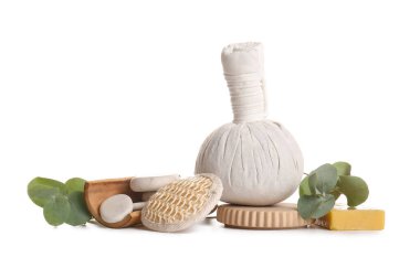 Beyaz arkaplanda izole edilmiş okaliptüs dalları olan spa bileşimi