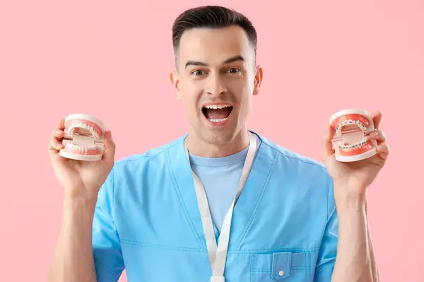 Male dentist holding jaw models with braces on pink background, closeup