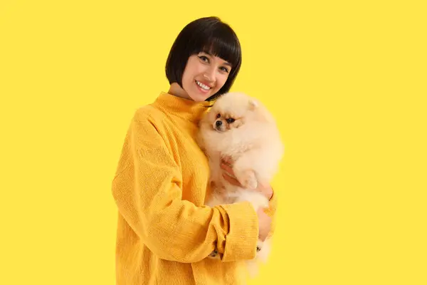 Νεαρή Γυναίκα Αγκαλιάζει Pomeranian Spitz Κίτρινο Φόντο — Φωτογραφία Αρχείου