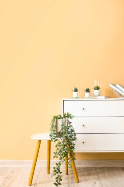 Çekmeceler ve bej duvarın yanında farklı bitkilerle dolu tabure.